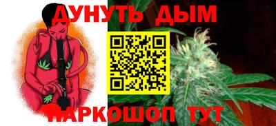 гидра Кингисепп